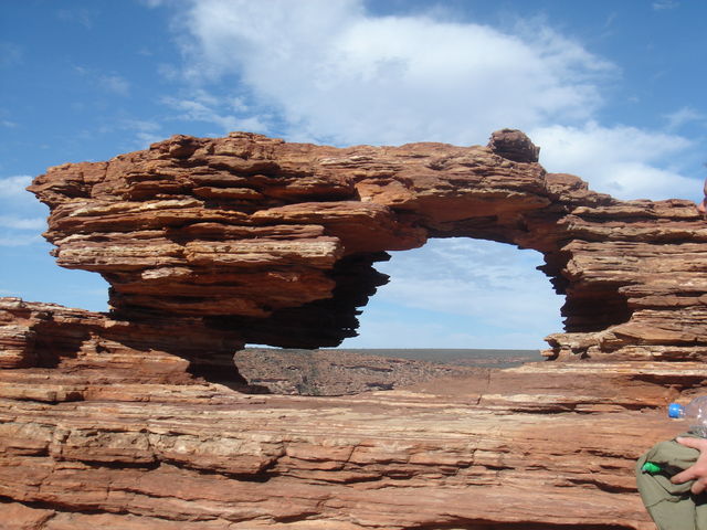 natures window