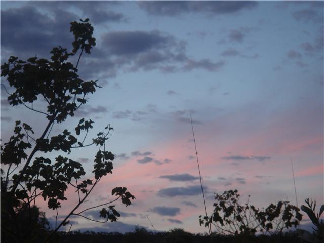 veiw