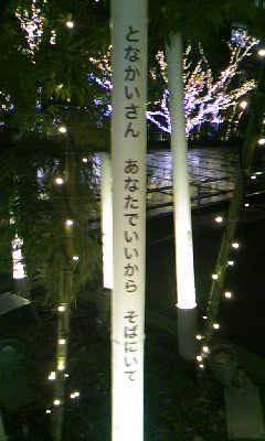 101212_1812~01.jpg