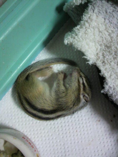 2014031221480000.jpg