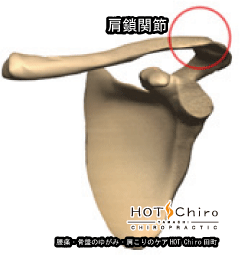 ¹øÄË¡¦¹üÈפΤ椬¤ß¡¦¸ª¤³¤ê¤Î¥±¥¢HOT ChiroÅÄÄ®_¸ªº¿´ØÀá