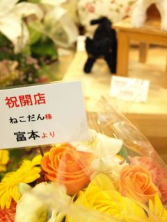 講師花