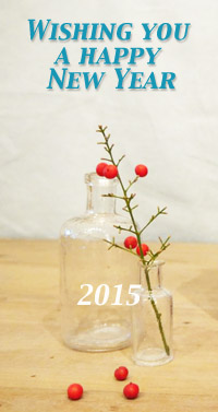 新年画像15年