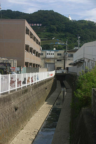 46753