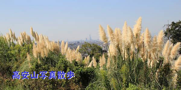 JBP-imx_10652photos.jpg