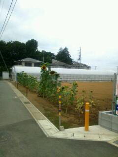 20111103_102512.jpg