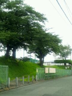 20111103_102943.jpg