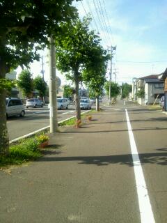 20111103_105251.jpg