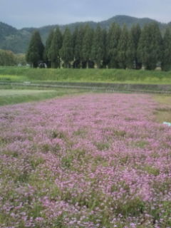 20100429165710.jpg