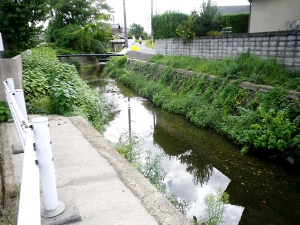 近鉄大久保駅から5