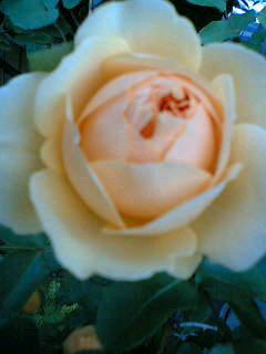 07-05-15_07-49.jpg
