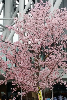 2014-04-16 14.23.13.jpg