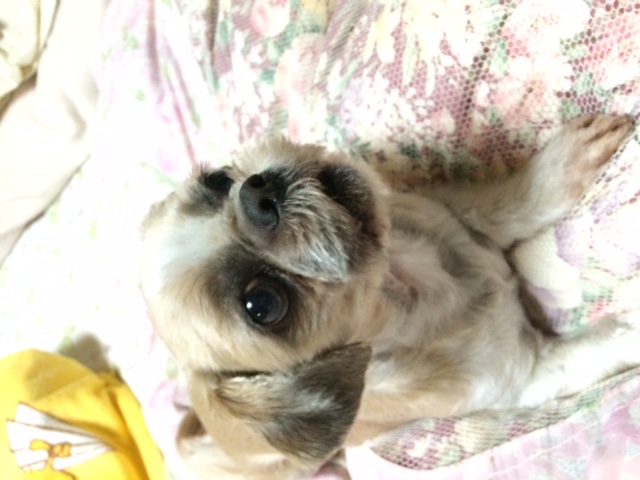 image1.jpeg