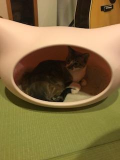 20180921_1248251.jpg