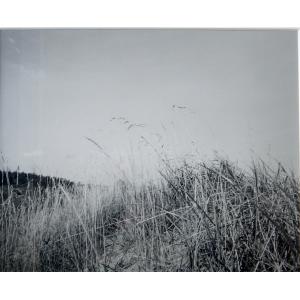 koiwa201005-1