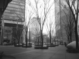 20070305_166995.jpg