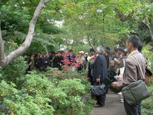 庭園見学