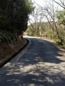 瀬戸内国際芸術祭 自転車