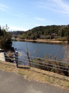 瀬戸内国際芸術祭 自転車
