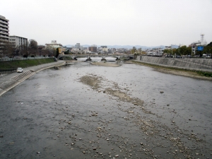 京都 鴨川