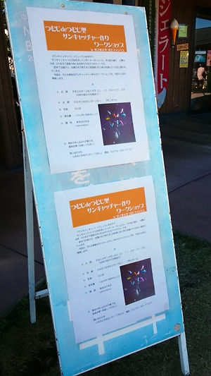 20141018tumuji1.jpg