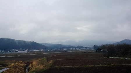 20150419ティアツリー3.jpg