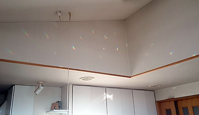 20151005suvnson3.jpg