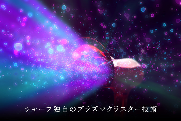 頭皮環境を整える
