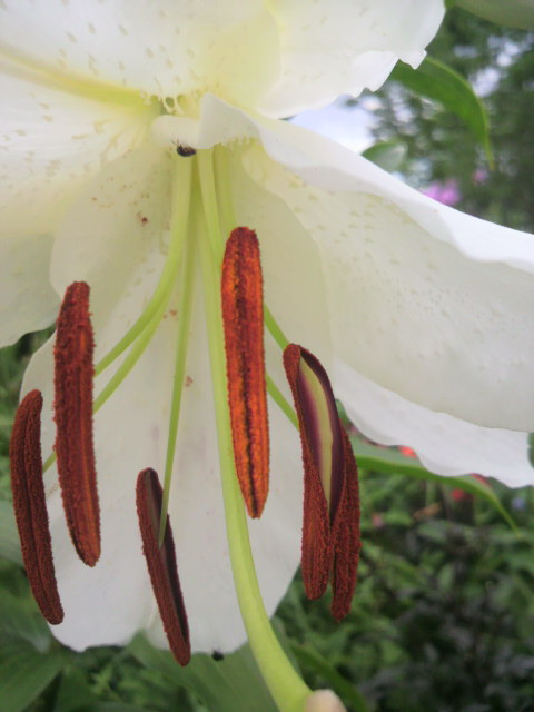 2012080414450001.jpg