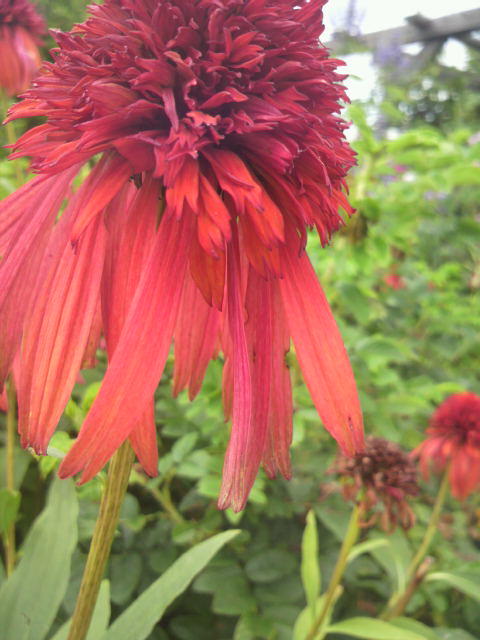 2012080414450000.jpg