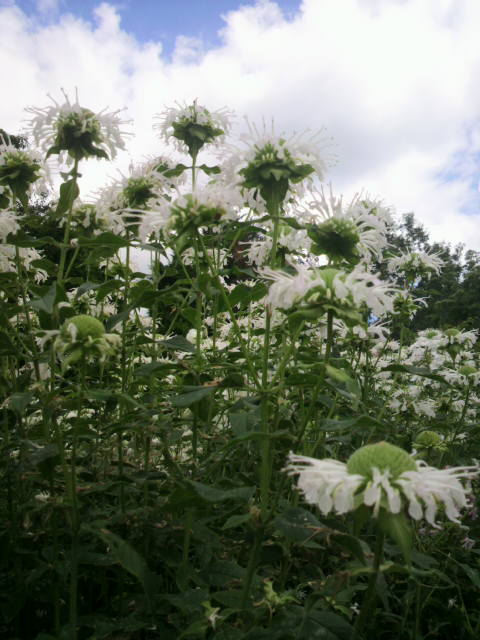 2012080414460000.jpg