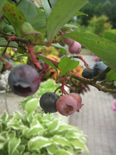 2012080414480000.jpg