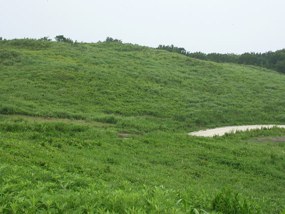 千俵蒔山