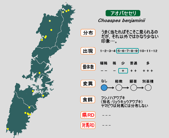 アオバセセリ