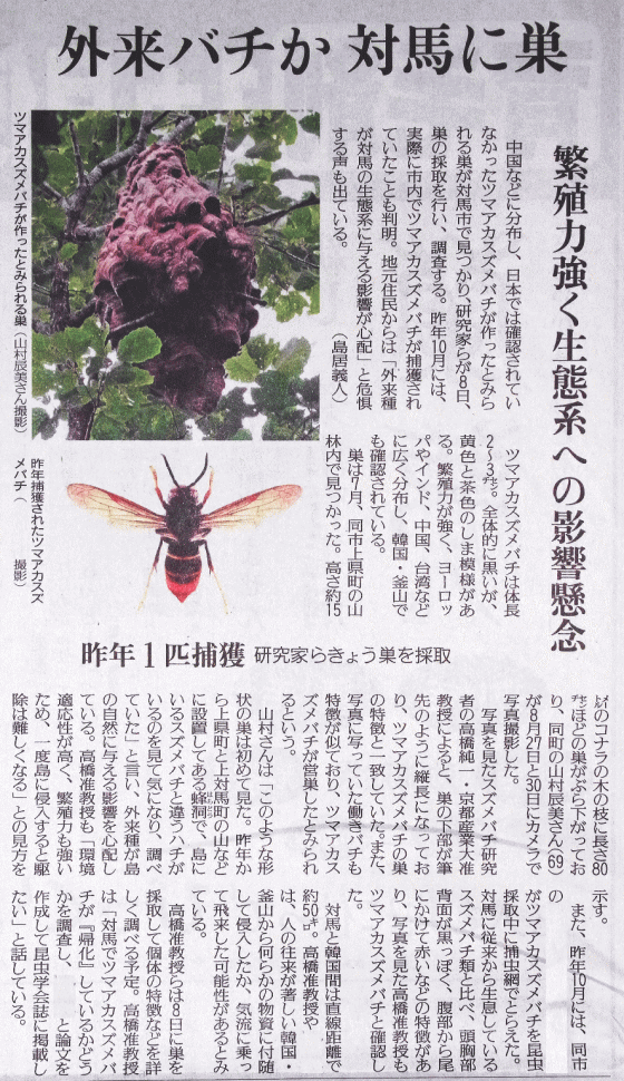 ツマアカスズメバチの新聞記事