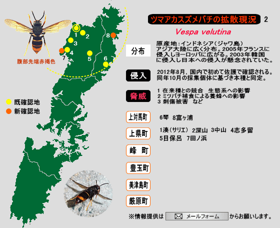 ツマアカスズメバチの拡散現況 2