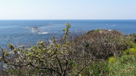 豆酘崎