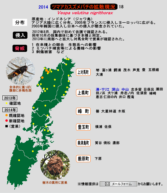 ツマアカスズメバチの拡散現況 18