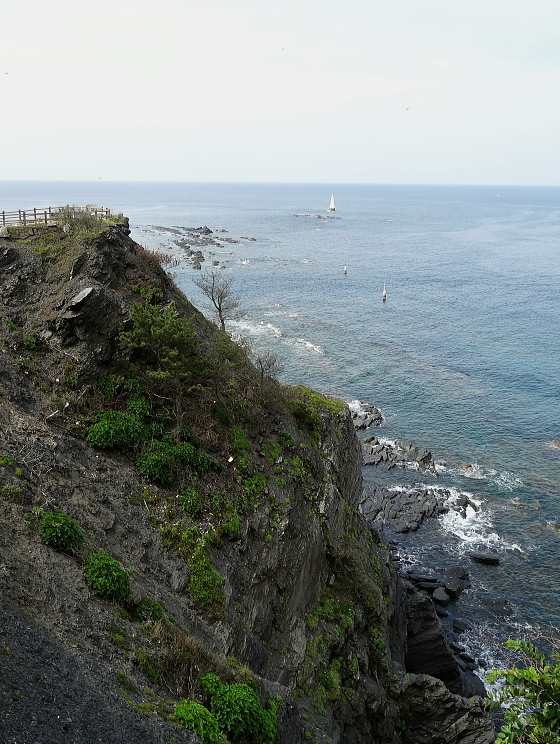 豆酘崎
