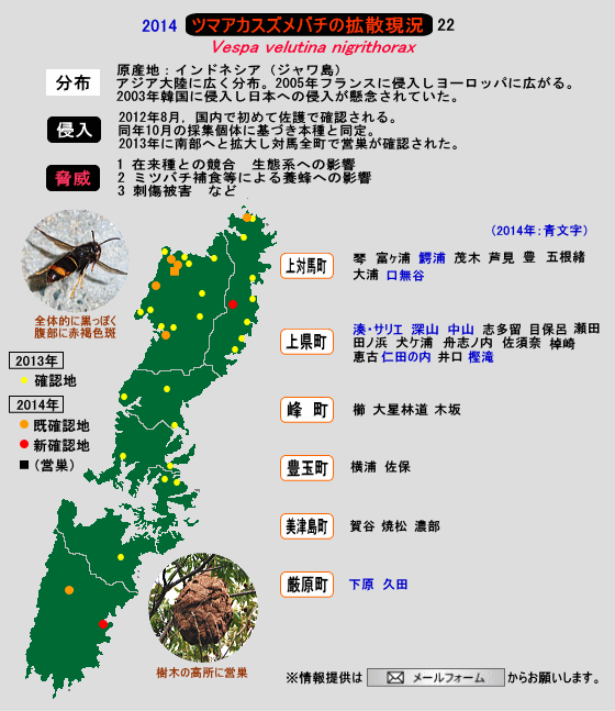 ¥Ä¥Þ¥¢¥«¥¹¥º¥á¥Ð¥Á¤Î³È»¶¾õ¶·22