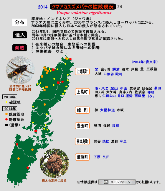 ツマアカスズメバチの拡散状況24