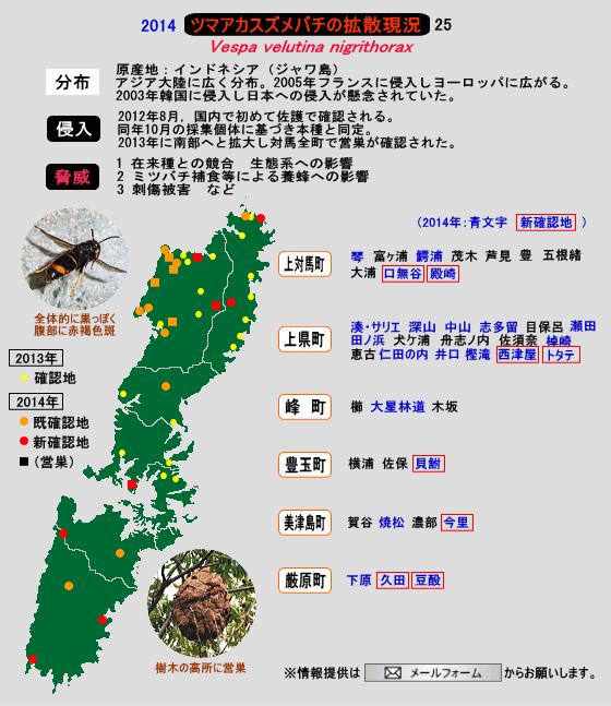 ¥Ä¥Þ¥¢¥«¥¹¥º¥á¥Ð¥Á¤Î³È»¶¸½¶·25