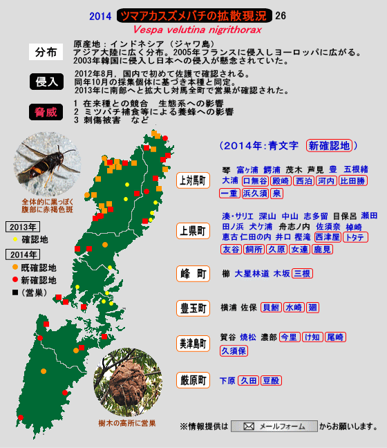 ツマアカスズメバチの拡散現況26