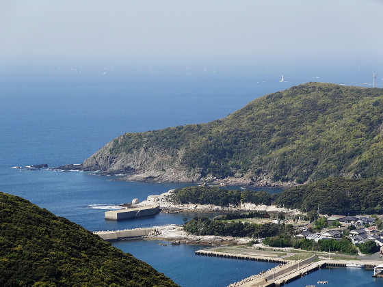 浅藻