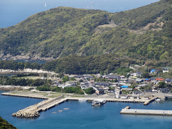 浅藻