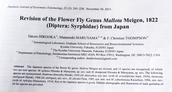 HIROOKA et al.: Revision of the Flower Fly Genus Mallota Meigen, 1822 from Japan. JJSE 21(2):2015
