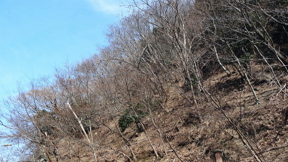 厳原町阿連
