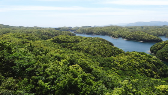 新緑の浅茅湾