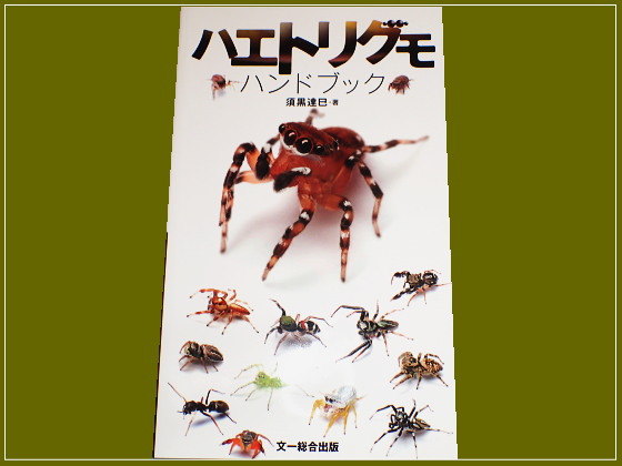 ハエトリグモ ハンドブック