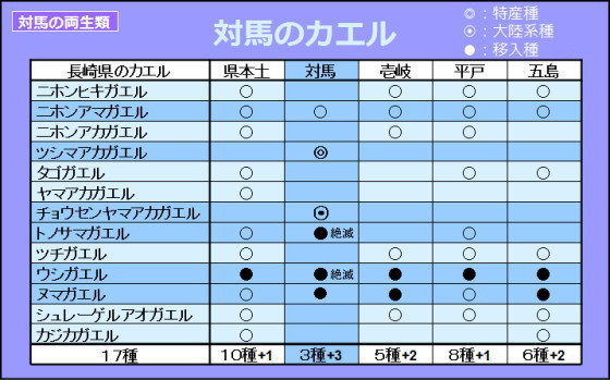 対馬のカエル